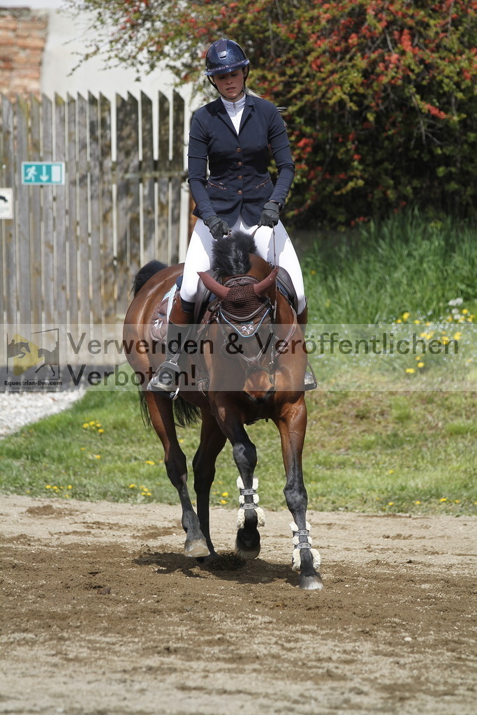 _MG_7436 | equestrian-live-com