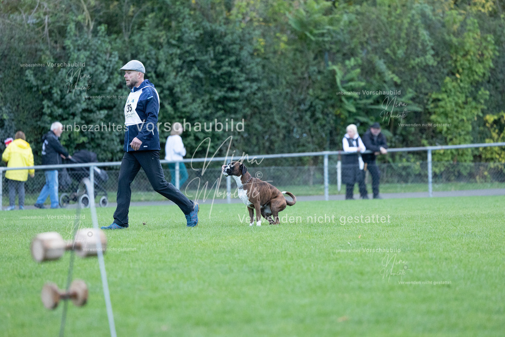 _16A4517 | Einzigartige Fotos von Hunden & Menschen –Actionfotos, Portraits, Vereinsaufnahmen & Paarshootings – authentisch, lebendig & mit Herz.