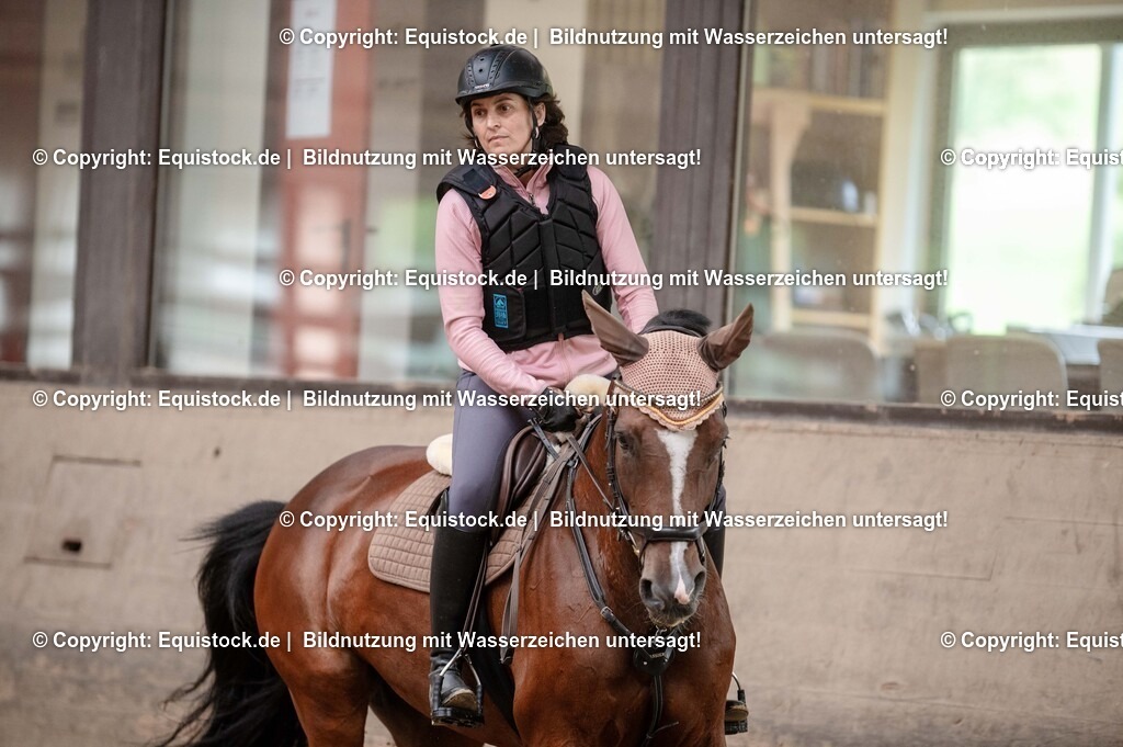 20250725_Vielseitigkeitslehrgang-Marbach_0233 | Foto: Thomas Hartig