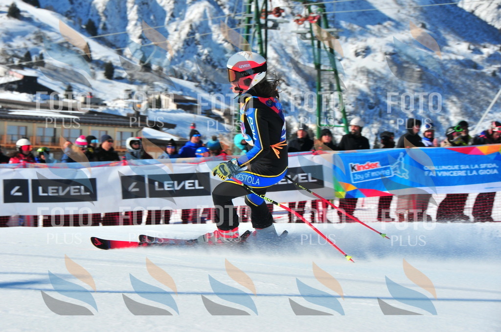 DSC_3868 | holidayphoto