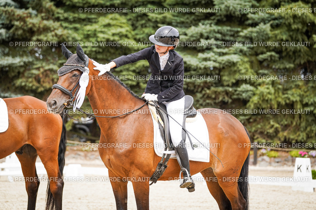 DSC04563 | Pferdegrafie