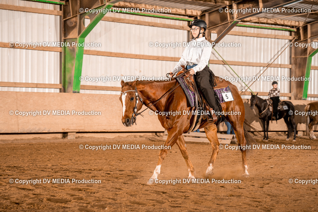 BAL03060 | dv-media-shop - Realisiert mit Pictrs.com