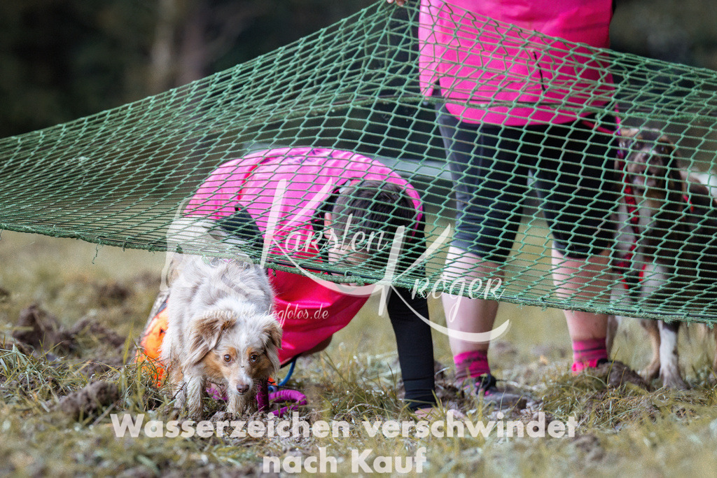 0847_ZZ90825 | kk-dogfotos