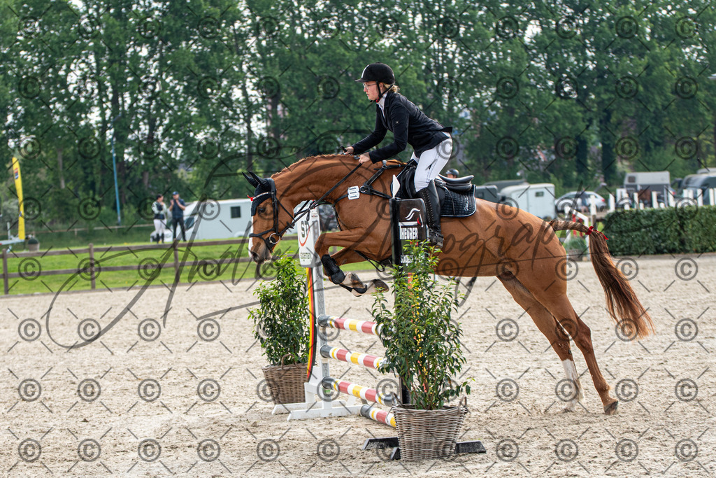 KPT_2187 | andre_photographic