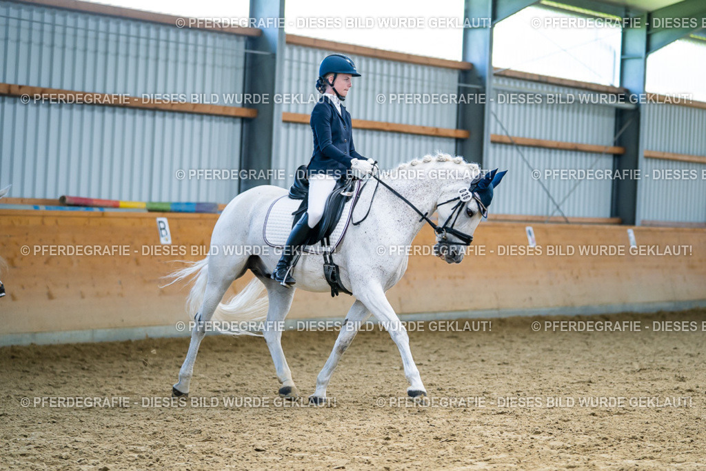 DSC05545 | Pferdegrafie