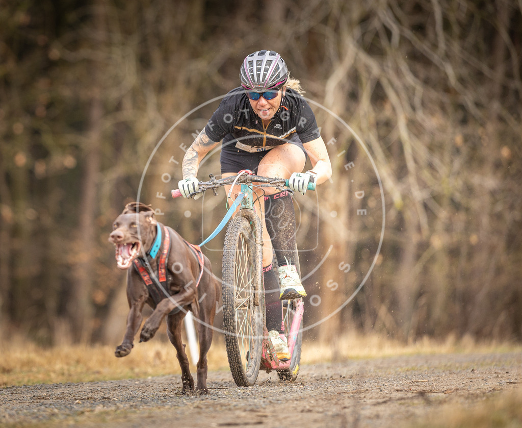 DV3A3375 | Hundefotografie, Tierfotograf, Pfotenfotografie, Fotoshooting Hund, Hunde Portrait, Hundesport, Hundeportraits, Heideshooting, Hunde, Sportfotograf, Hundefotograf, Turnierhundsport, THS,  - Realisiert mit Pictrs.com