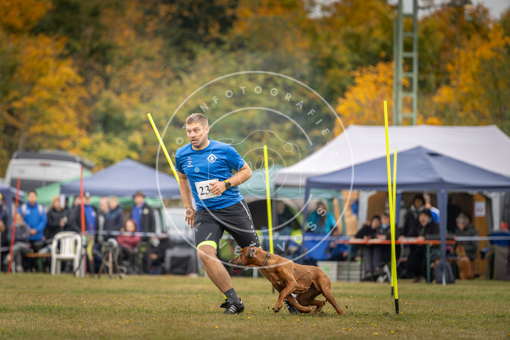 Pfotenfotografie_DV3A5242 | Hundefotografie, Tierfotograf, Pfotenfotografie, Fotoshooting Hund, Hunde Portrait, Hundesport, Hundeportraits, Heideshooting, Hunde, Sportfotograf, Hundefotograf, Turnierhundsport, THS,  - Realisiert mit Pictrs.com