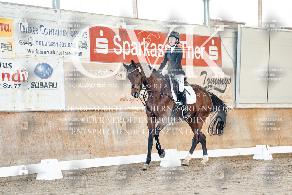 CK908096 | Turnierfotografie Pferdefotografie Trier Rheinland-Pfalz Pferdesport Reitsport Tierfotografie Sportfotografie Pferdevideo Pferdevideografie Equestrianvideography equestrianphotography  - Realisiert mit Pictrs.com