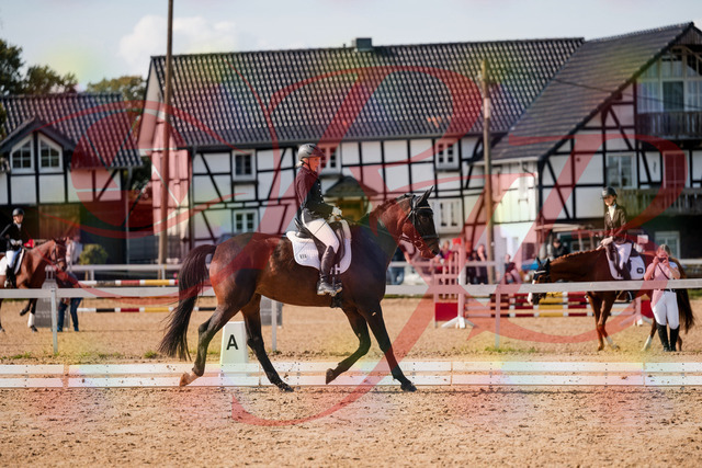 2026_10_03_Siefer-Hof_133611_Z63_96264146 | Professionelle Reitsport-, Turnier- und Eventfotografie von Robert Broda. Galerien mit ausgewählten und bearbeiteten Bildern direkt online ansehen und bestellen.
