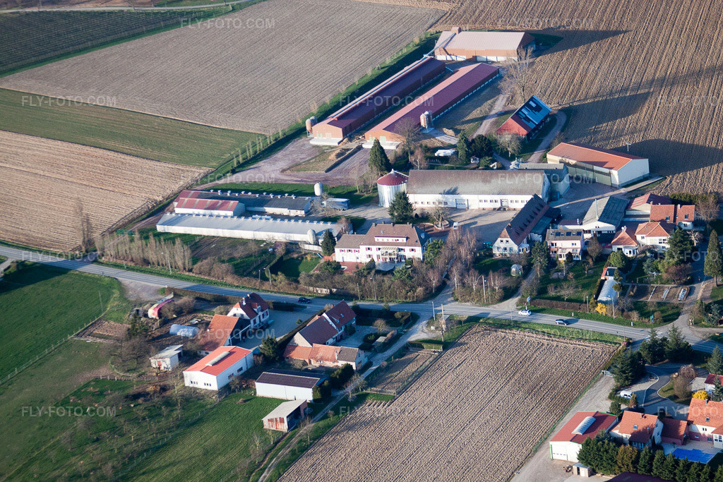 Aerial view: View of the town in Steinseltz in the state Bas-Rhin, France.Photo: IMG_38782.jpg taken on 03/20/2011 by Werner Riehm/FLY-FOTO.comResolution of the original: 4752 x 3168 px