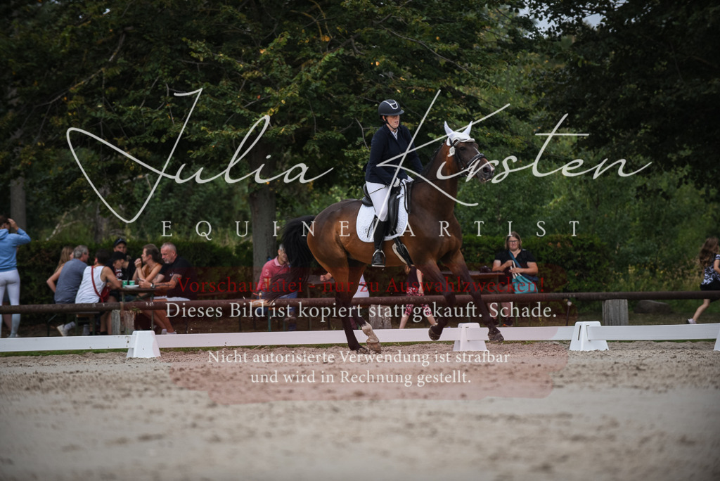 DSC_8449 | Pferde- und Turnierfotografie in Westsachsen. Pferdeportraits, Auftragszeichnungen und intuitive Kunst.