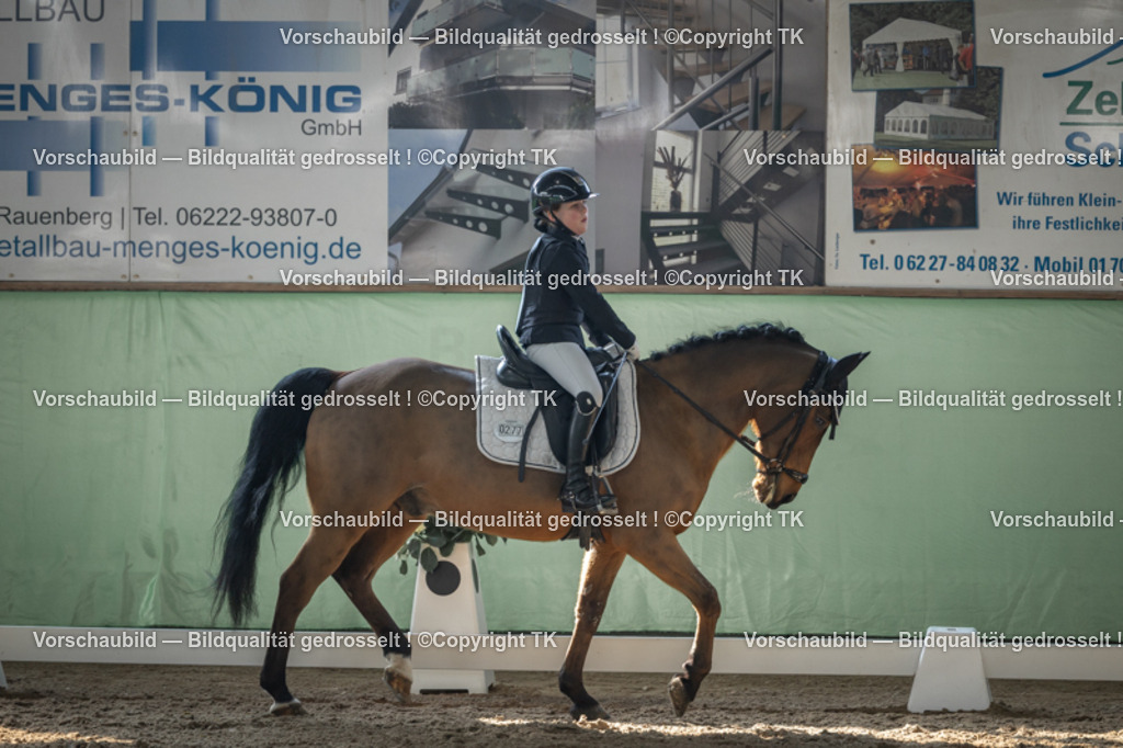 _D5A8543 | Emotionale Pferde- & People-Fotografie rund um Heidelberg, Leimen & Umgebung. Natürliche Fotos von Pferd, Mensch & Familie. Jetzt Termin sichern!