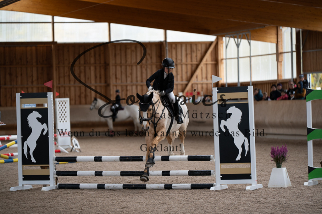 A7V02876 | Turnier/Reitfotograf