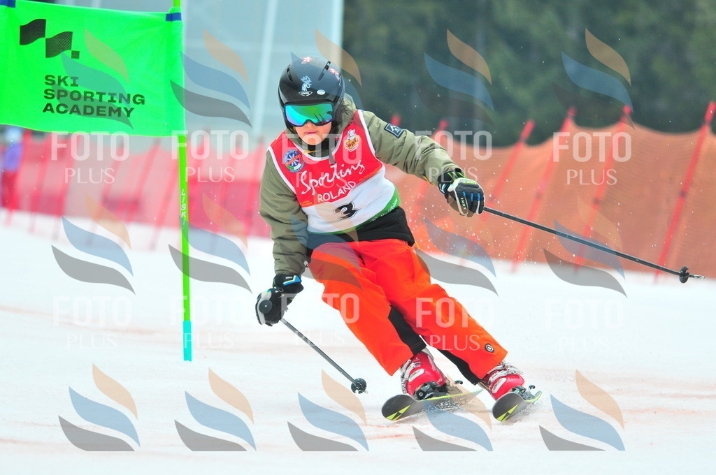 C0319 | holidayphoto