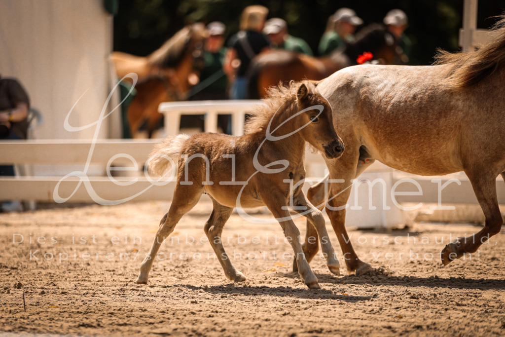 01.DoKR00136 | Leoni Ertmer Photography - Realisiert mit Pictrs.com