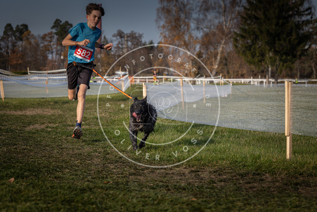 CaniXpix_0L8A9676 | Hundefotografie, Tierfotograf, Pfotenfotografie, Fotoshooting Hund, Hunde Portrait, Hundesport, Hundeportraits, Heideshooting, Hunde, Sportfotograf, Hundefotograf, Turnierhundsport, THS,  - Realisiert mit Pictrs.com