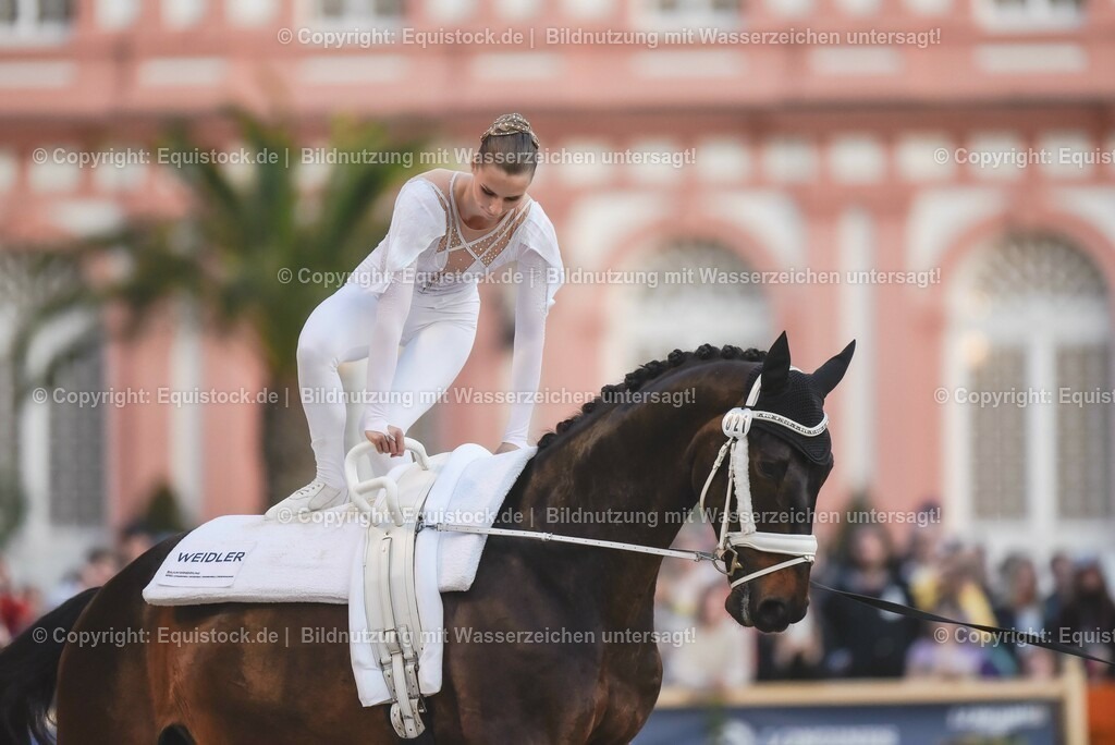 20230527_Voltigieren_NASPA_Flutlicht_0141 | equistock