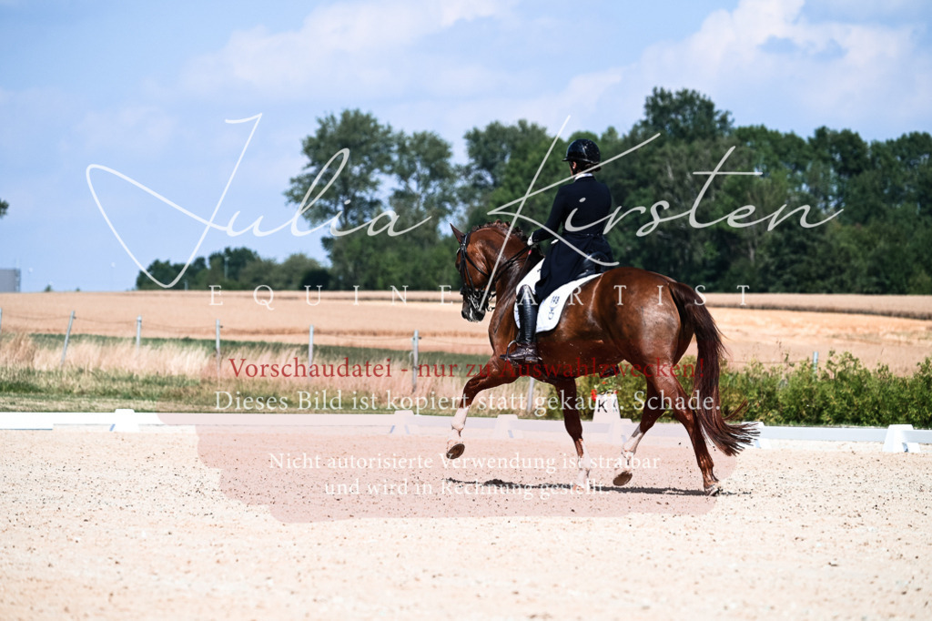 DSC_2853 | Pferde- und Turnierfotografie in Westsachsen. Pferdeportraits, Auftragszeichnungen und intuitive Kunst.