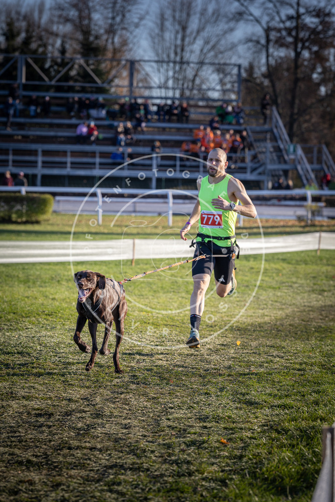CaniXpix_DV3A2783 | Hundefotografie, Tierfotograf, Pfotenfotografie, Fotoshooting Hund, Hunde Portrait, Hundesport, Hundeportraits, Heideshooting, Hunde, Sportfotograf, Hundefotograf, Turnierhundsport, THS,  - Realisiert mit Pictrs.com