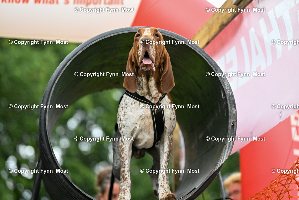 DSC_4839 | Hallo und herzlich Willkommen auf meiner Shop-Seite Fynn Most.

Ich wünsche Dir viel Spaß beim stöbern durch die Bilder, wenn Du Fragen hast oder Bilder vermisst, kannst du mir gerne eine Nachricht schreiben. - Realized with Pictrs.com