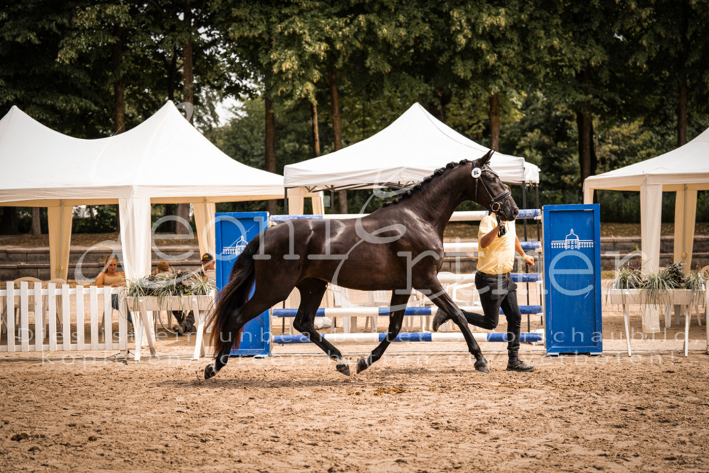 5.Fr00005 | Leoni Ertmer Photography - Realisiert mit Pictrs.com