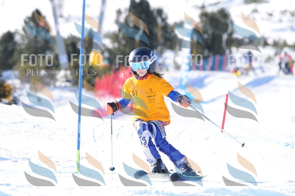 C6908 | holidayphoto