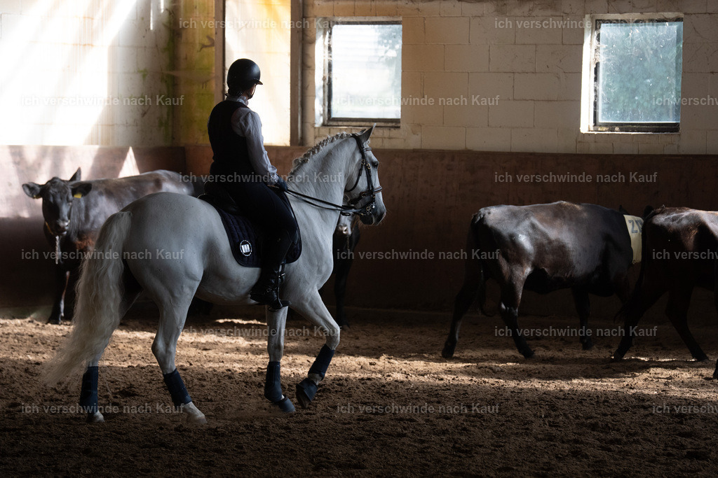 WM_COW_142_SinaFilmArt_IN05071 | working equitationturnier fotograf videograf stoibphotography marixx film working equitation deutschland reitsport turnierfotografie eventfotografie equestrian events