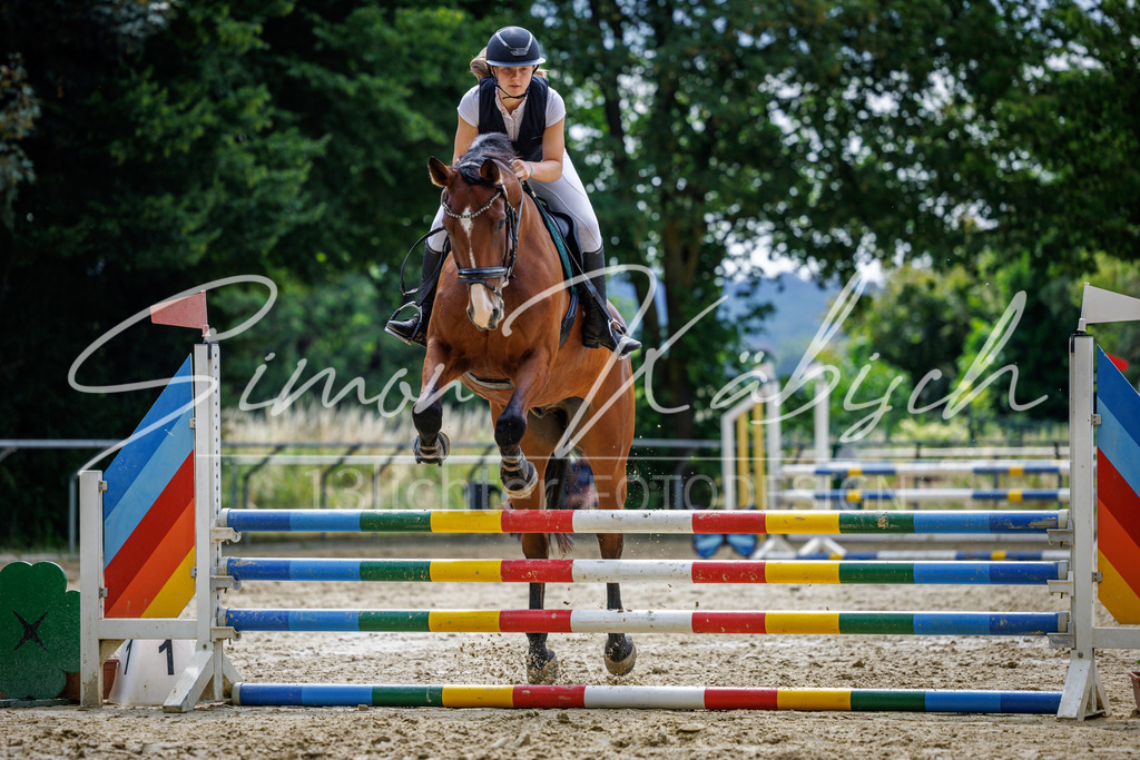 20260705-_3LI4626 | Tierfotografie Pferde, Hunde, Katzen, Haustiere.
Turnierfotografie Reitturniere, Reiten, Springreiten, Dressur in Hanau, dem Main-Kinzig-Kreis und dem Rhein-Main- Gebiet um Frankfurt
