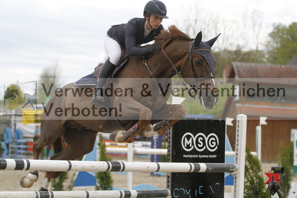 _MG_8464 | equestrian-live-com