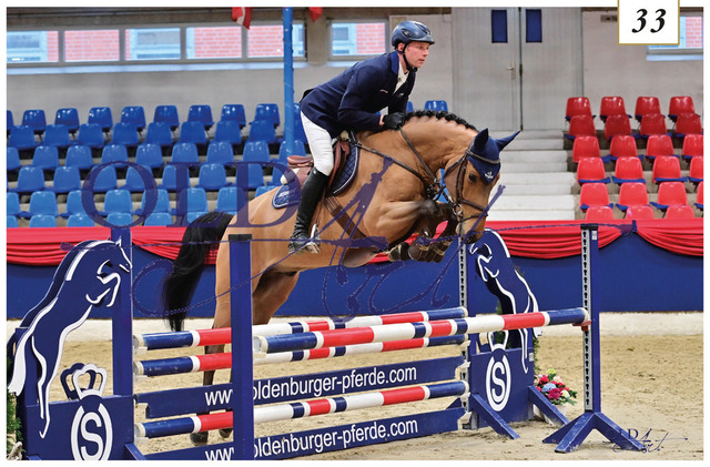 33 Chadwick DE418181030618 FE-Rpf Canoso - Carlucci - Quidam_s Rubin_33 | <meta name="description" content="★Offizieller Merchandise und Foto-/Videostore des Oldenburger Verbandes.★ ✅Jetzt auch digital Ausdrucke erhältlich." />
<meta name="keywords" content="Merchandise Foto-/Videostore Oldenburger Verband Photographie 