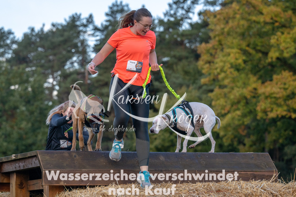 0843_ZZ91246 | kk-dogfotos