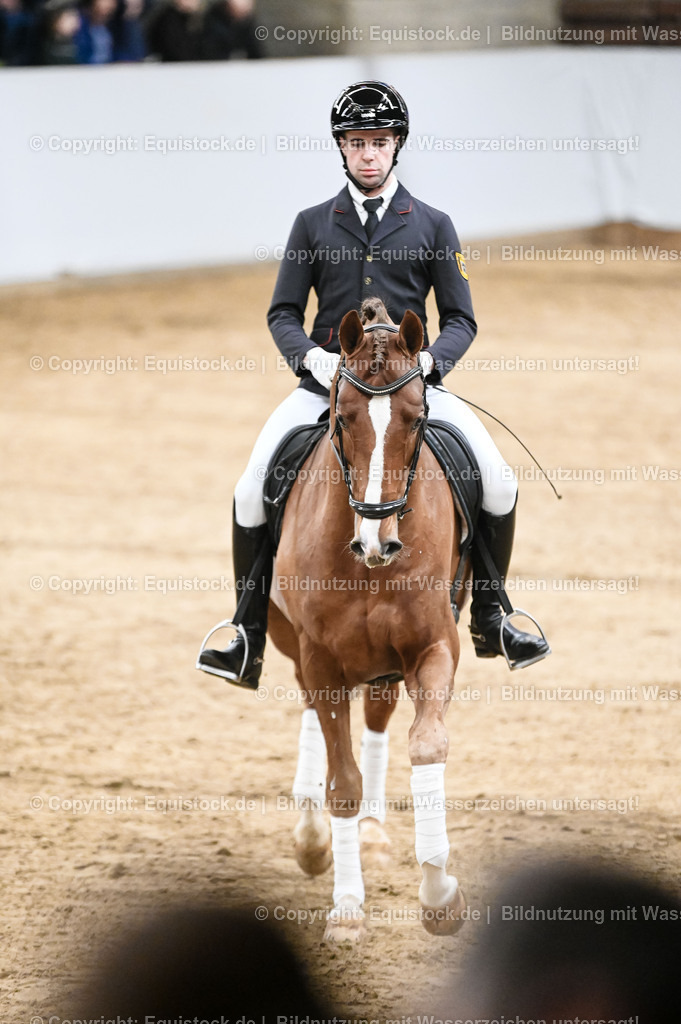 20260307_Hengstvorstellung-Marbach_0225 | equistock