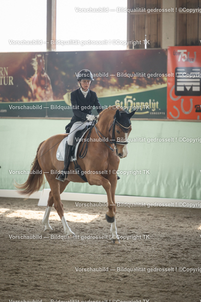 _D5A0995 | Emotionale Pferde- & People-Fotografie rund um Heidelberg, Leimen & Umgebung. Natürliche Fotos von Pferd, Mensch & Familie. Jetzt Termin sichern!