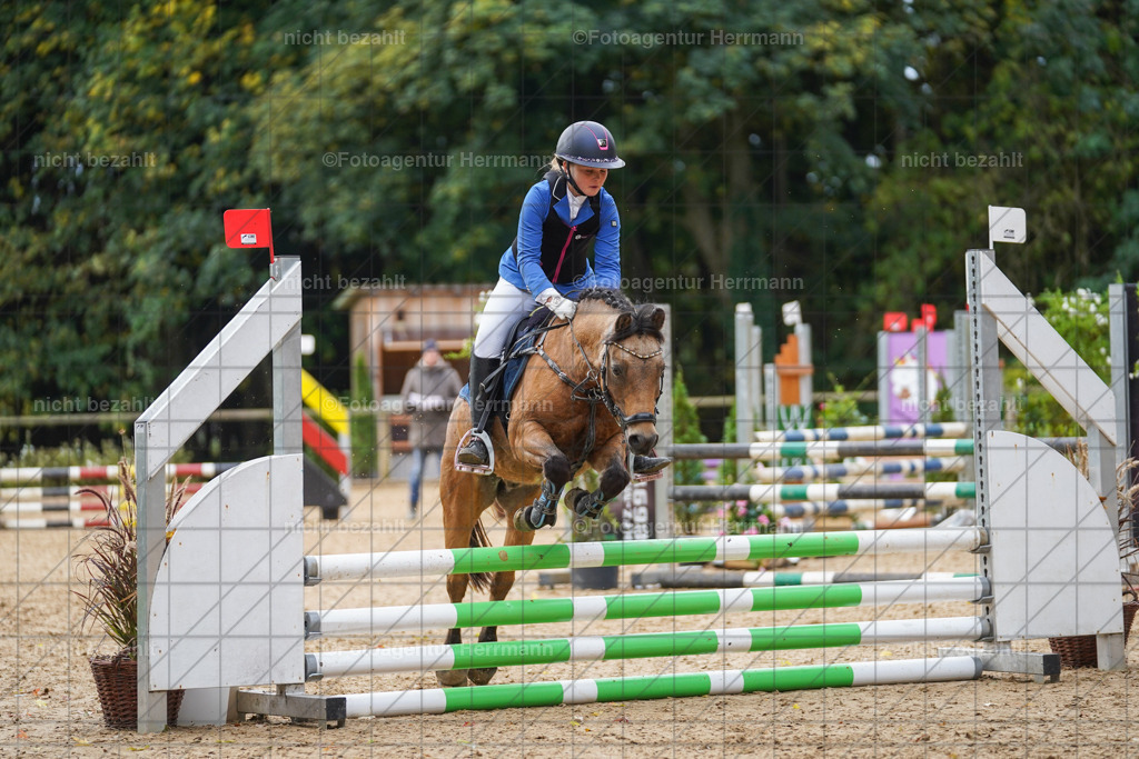 20221009-FAH08347 | Diessen am Ammersee, 2022, Dressur- und Springturnier, Reitsportbilder, Turnierfotografen Bayern, Pferdefotografen, Fotoagentur Herrmann, Turnierbilder