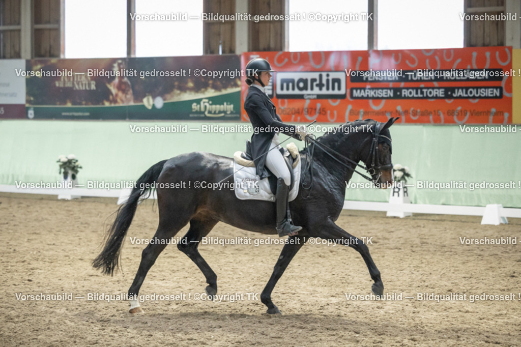 _D5A7019 | Emotionale Pferde- & People-Fotografie rund um Heidelberg, Leimen & Umgebung. Natürliche Fotos von Pferd, Mensch & Familie. Jetzt Termin sichern!