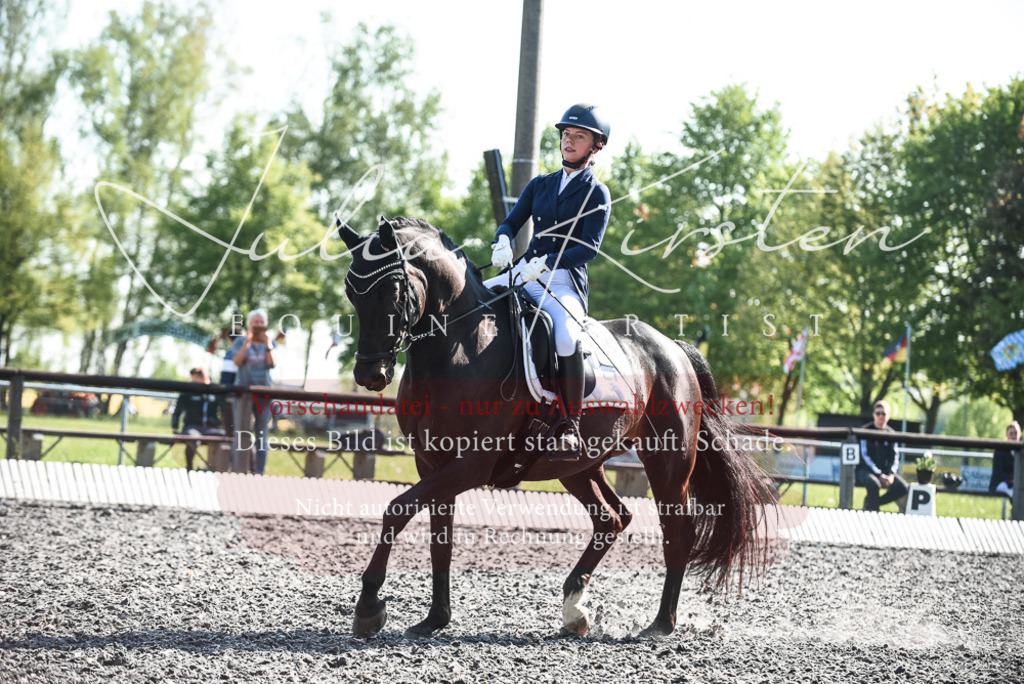 DSC_8584 | Pferde- und Turnierfotografie in Westsachsen. Pferdeportraits, Auftragszeichnungen und intuitive Kunst.