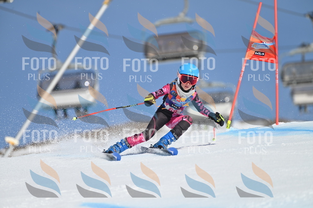 BGV_8864 | holidayphoto