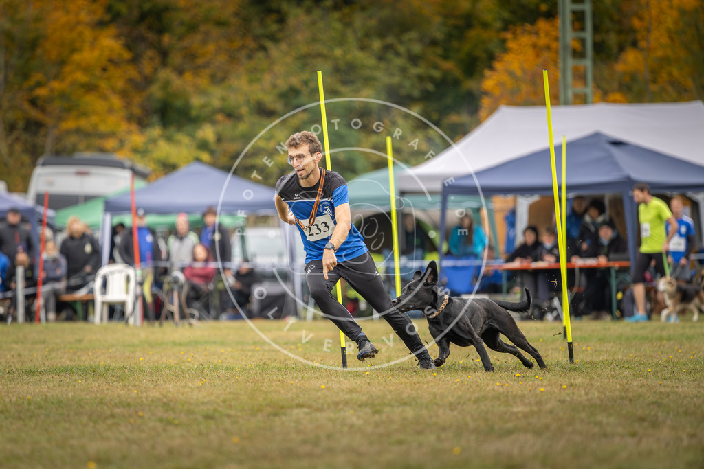 Pfotenfotografie_DV3A5140 | Hundefotografie, Tierfotograf, Pfotenfotografie, Fotoshooting Hund, Hunde Portrait, Hundesport, Hundeportraits, Heideshooting, Hunde, Sportfotograf, Hundefotograf, Turnierhundsport, THS,  - Realisiert mit Pictrs.com