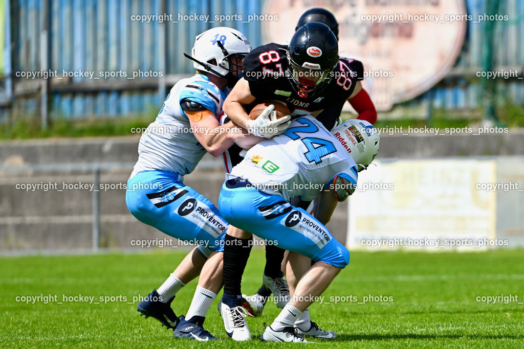 Carinthian Lions vs. Styrian Bears | Carinthian Lions vs. Styrian Bears, Carinthian Lions vs. Styrian Bears am 20.05.2024 in Klagenfurt (ASV Sportplatz), Austria, (Photo by Bernd Stefan)