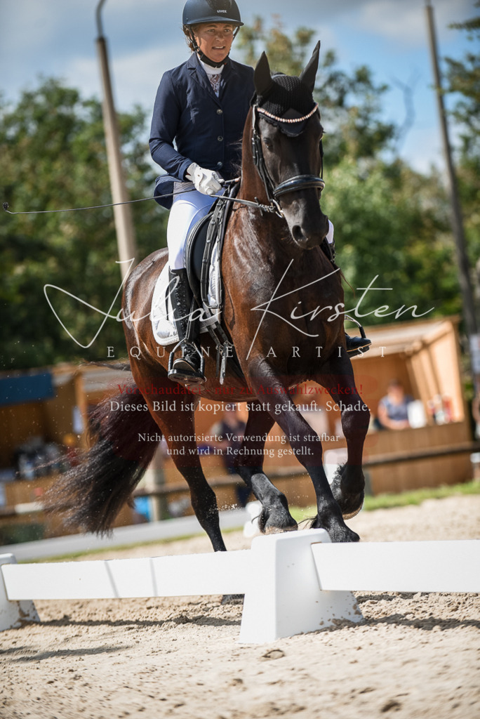 DSC_9168 | Pferde- und Turnierfotografie in Westsachsen. Pferdeportraits, Auftragszeichnungen und intuitive Kunst.