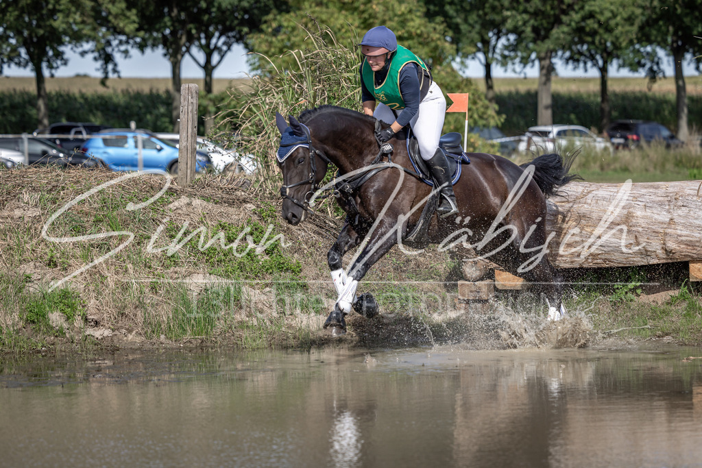 20250907-_3LI2305 | Tierfotografie Pferde, Hunde, Katzen, Haustiere.
Turnierfotografie Reitturniere, Reiten, Springreiten, Dressur in Hanau, dem Main-Kinzig-Kreis und dem Rhein-Main- Gebiet um Frankfurt