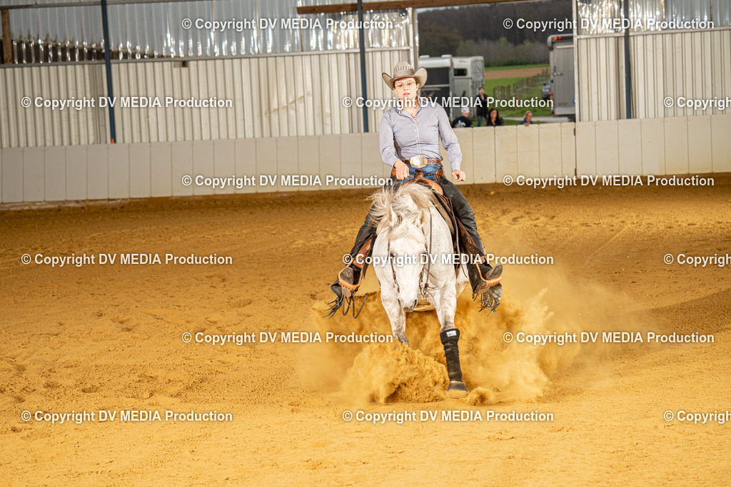 MIT00558 | dv-media-shop - Realisiert mit Pictrs.com