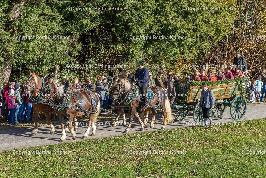 LBT25-197 | foto-bettina-krinner - Realisiert mit Pictrs.com