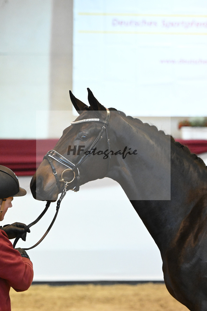 Kat-Nr. 77 v. Valentino Rossi_Ederle_66222354 | hf-fotografie - Realisiert mit Pictrs.com