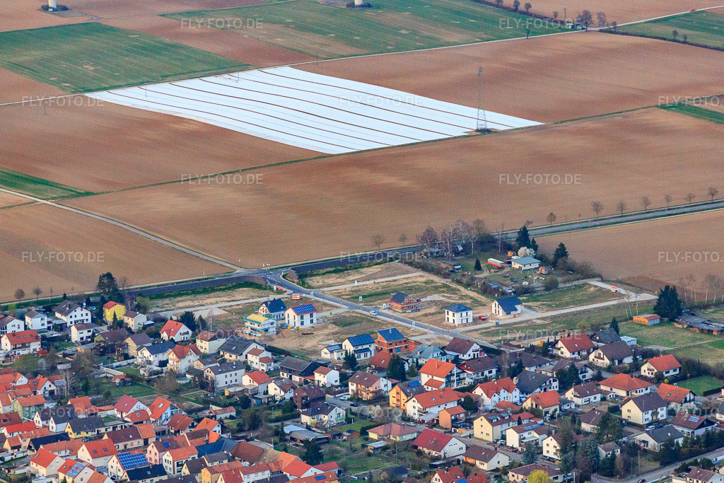 Luftbild: Neubaugebiet Im Holderbusch in Minfeld im Bundesland Rheinland-Pfalz in Deutschland. Foto: IMG_49191.jpg vom 24.03.2012 durch Werner Riehm/FLY-FOTO.de