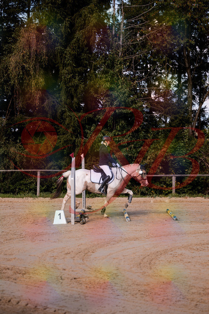 2026_10_03_Siefer-Hof_144155_Z81_14273504 | Professionelle Reitsport-, Turnier- und Eventfotografie von Robert Broda. Galerien mit ausgewählten und bearbeiteten Bildern direkt online ansehen und bestellen.