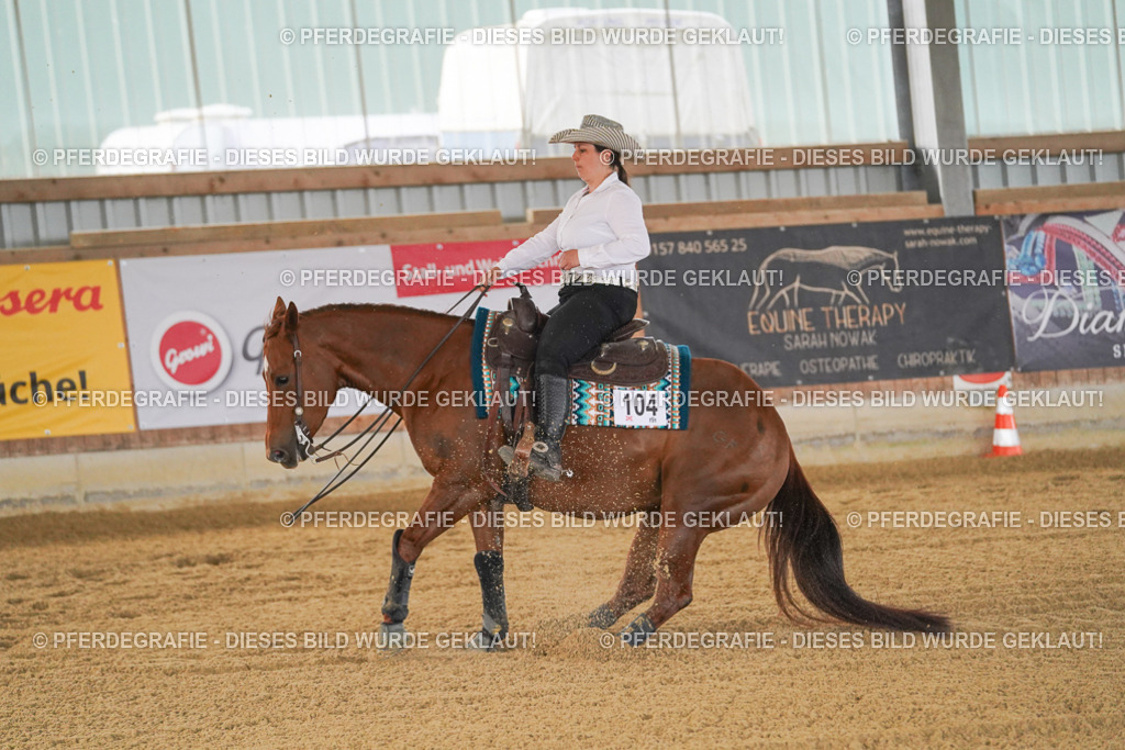 DSC07923 | Pferdegrafie