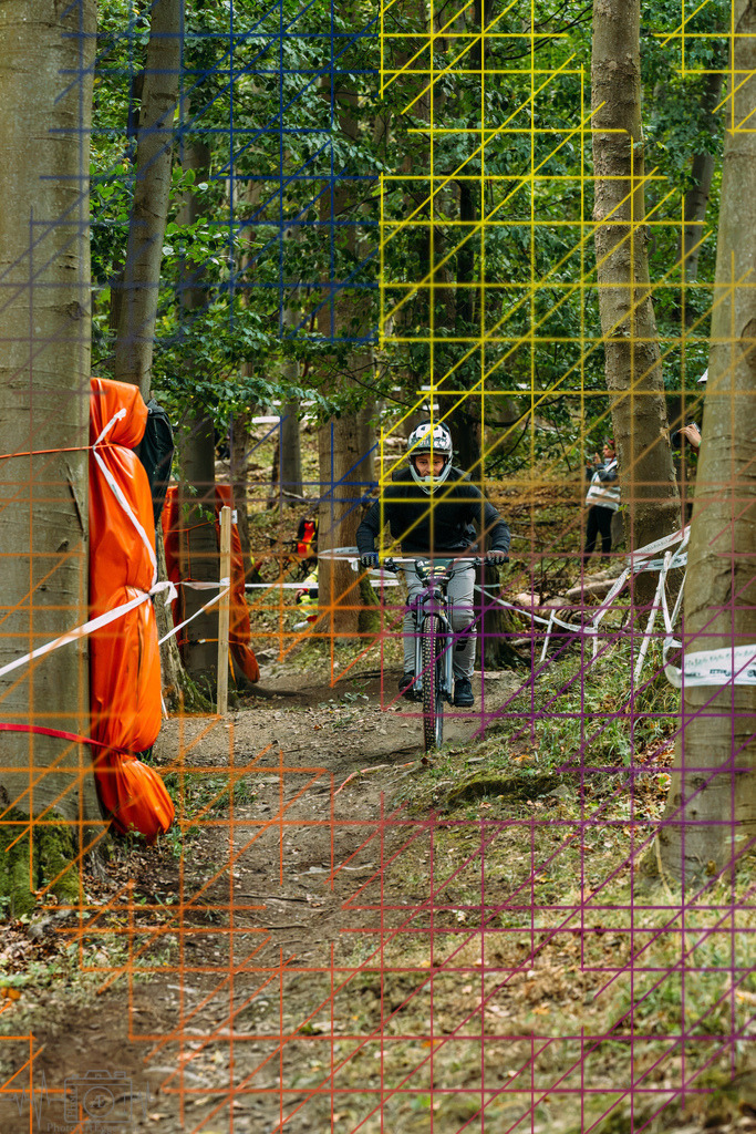 PAE-0345 | Einzigartige Fotokunst für dein Zuhause: Entdecke hochwertige Wandbilder, edle Prints und emotionale Motive von Wildlife, Natur und Landschaften - Realisiert mit Pictrs.com