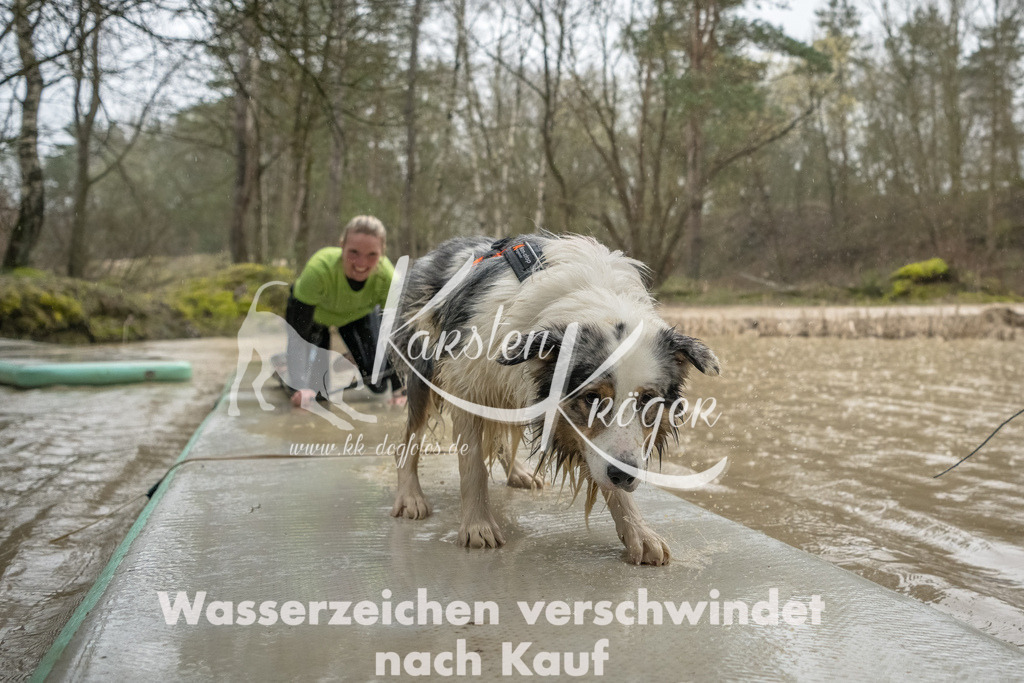 1046_ZZ93394-Bearbeitet | kk-dogfotos