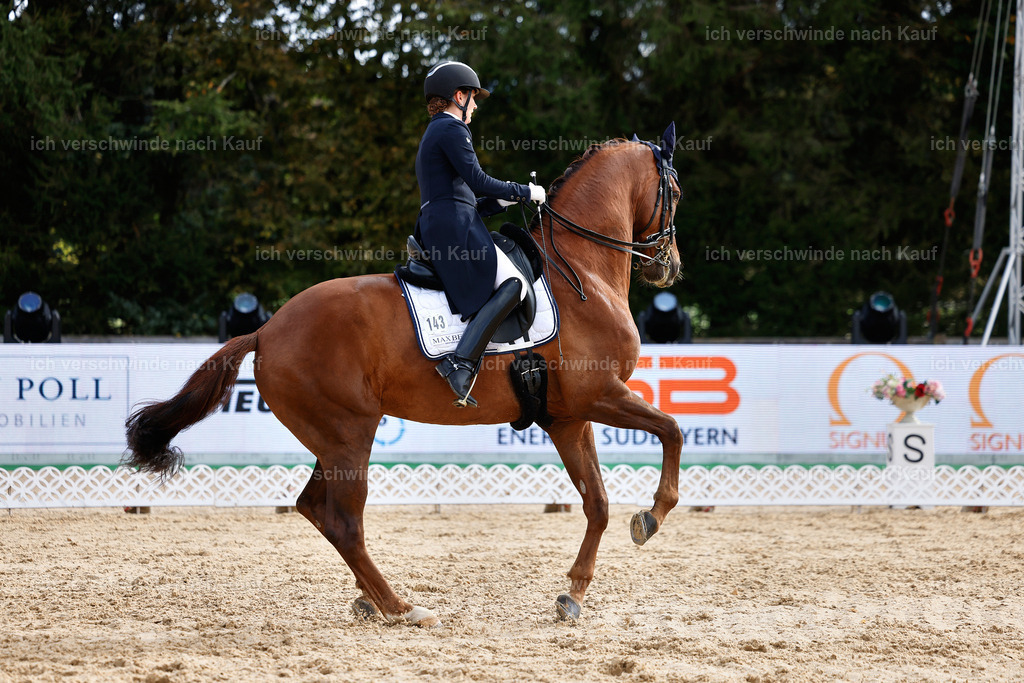 6-143-AMATUER-DRESSUR S_  -StoibPH-3434 | working equitationturnier fotograf videograf stoibphotography marixx film working equitation deutschland reitsport turnierfotografie eventfotografie equestrian events